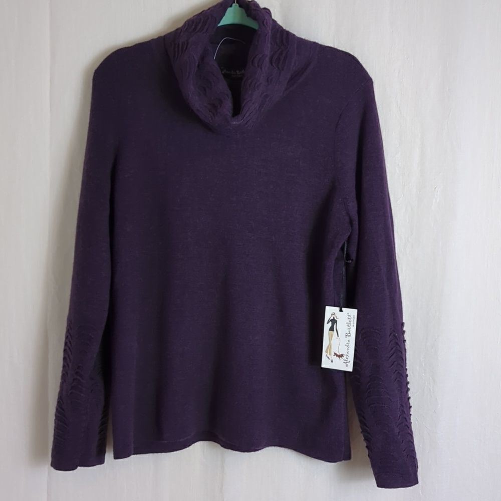 Alexandra Bartlett Turtleneck Sweater Size 1X Purple
